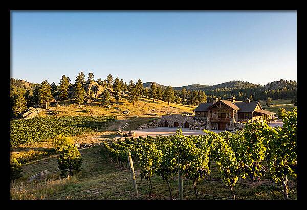 Sd Prairie Berry Winery Landscape