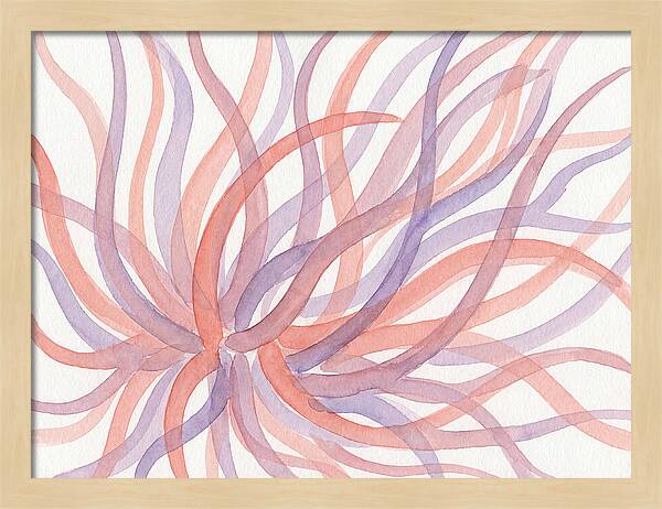 Sea Anemone Dance
