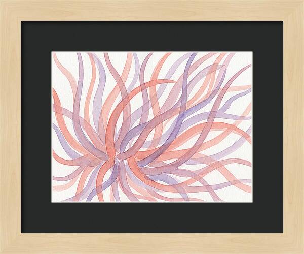 Sea Anemone Dance