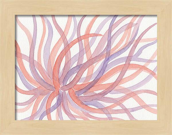 Sea Anemone Dance