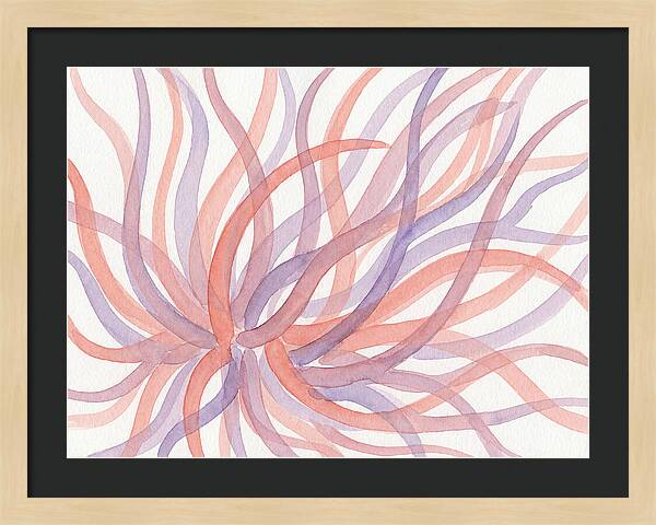 Sea Anemone Dance