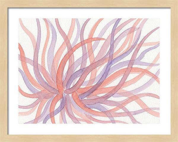 Sea Anemone Dance