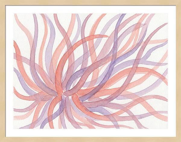Sea Anemone Dance