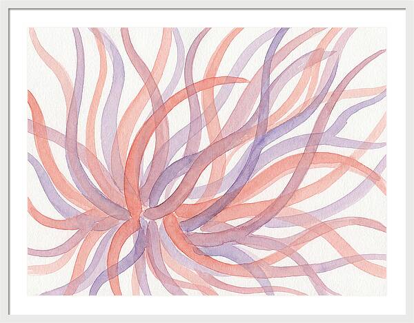 Sea Anemone Dance