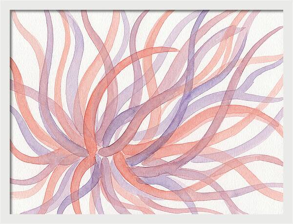 Sea Anemone Dance
