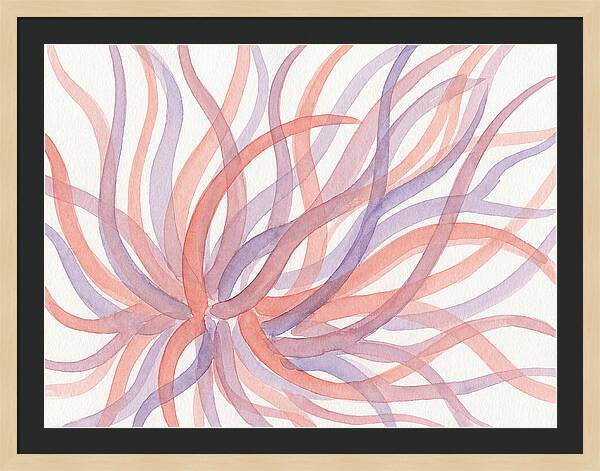 Sea Anemone Dance