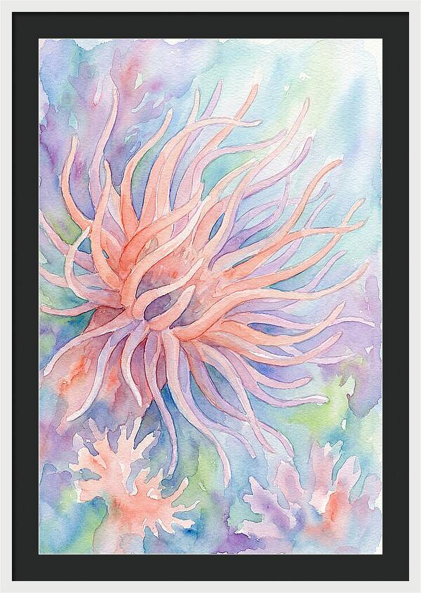 Sea Anemone Elegance