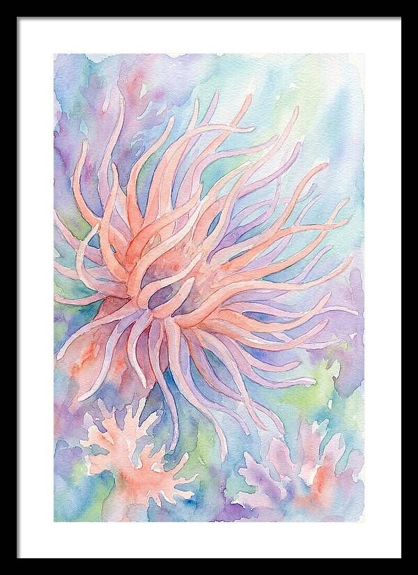 Sea Anemone Elegance