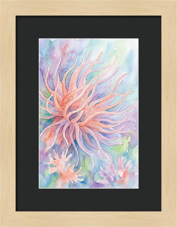 Sea Anemone Elegance