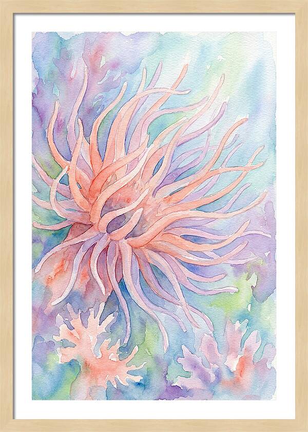 Sea Anemone Elegance