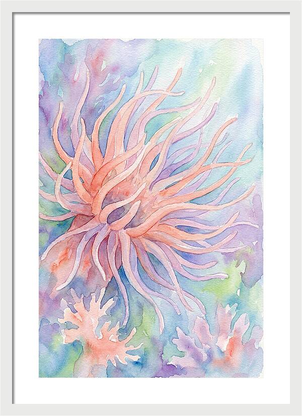 Sea Anemone Elegance