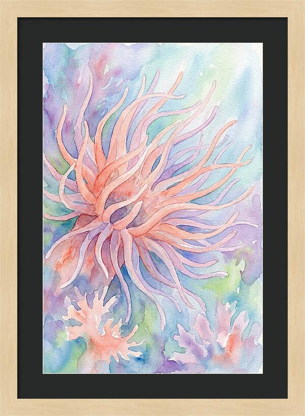 Sea Anemone Elegance