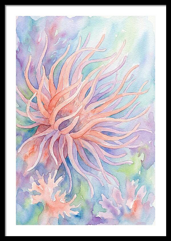 Sea Anemone Elegance