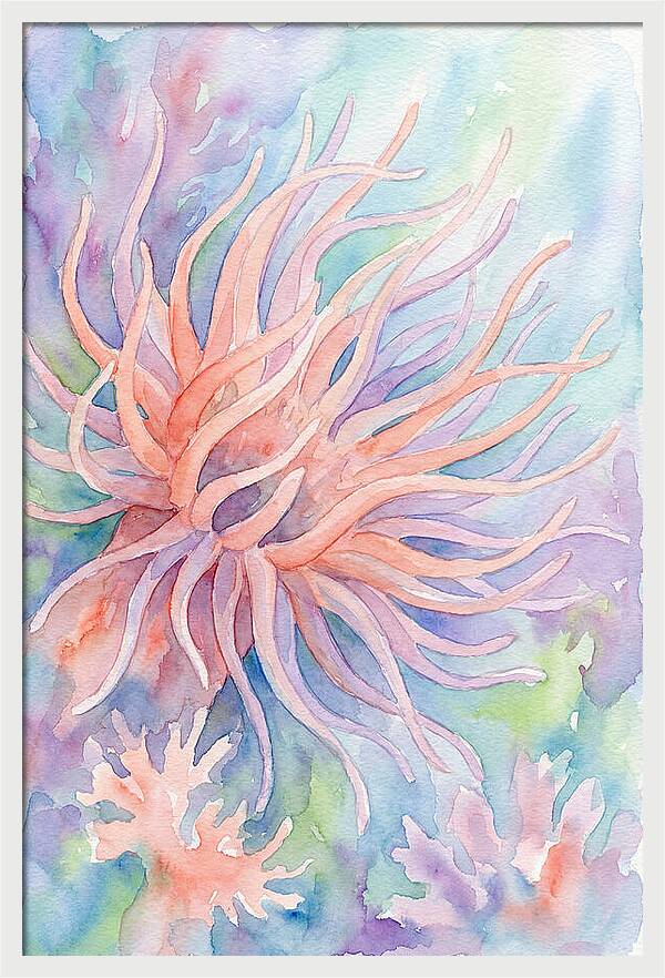 Sea Anemone Elegance