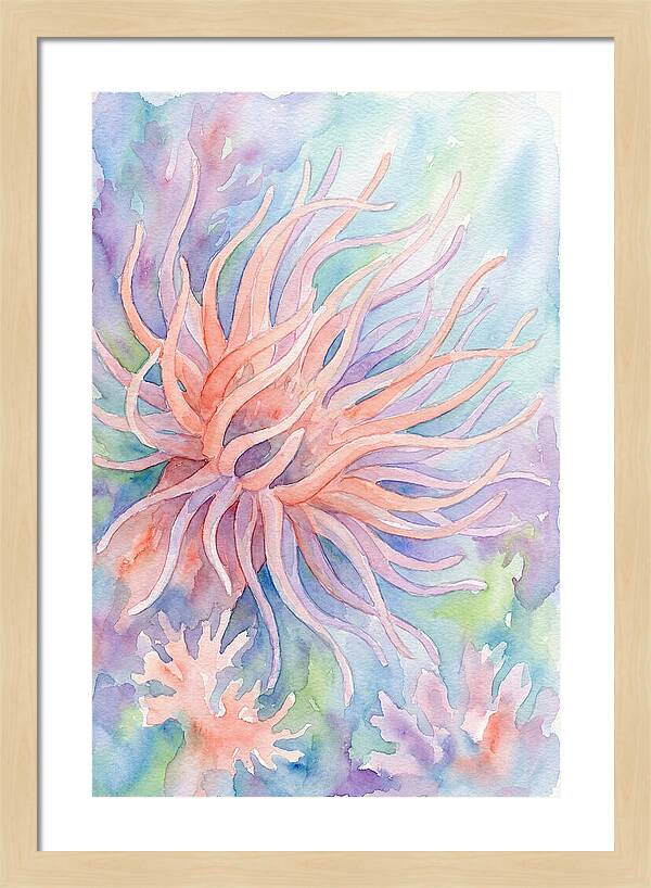 Sea Anemone Elegance
