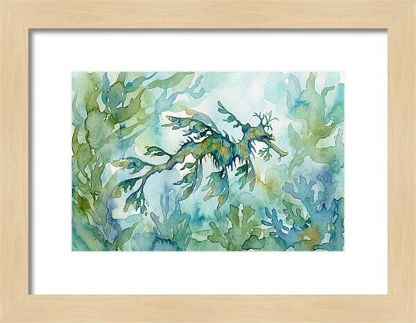 Sea Dragon Among Seaweed