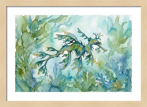 Sea Dragon Among Seaweed