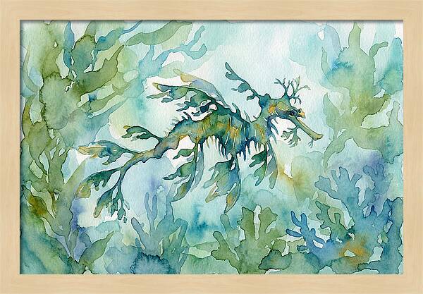 Sea Dragon Among Seaweed