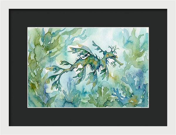 Sea Dragon Among Seaweed