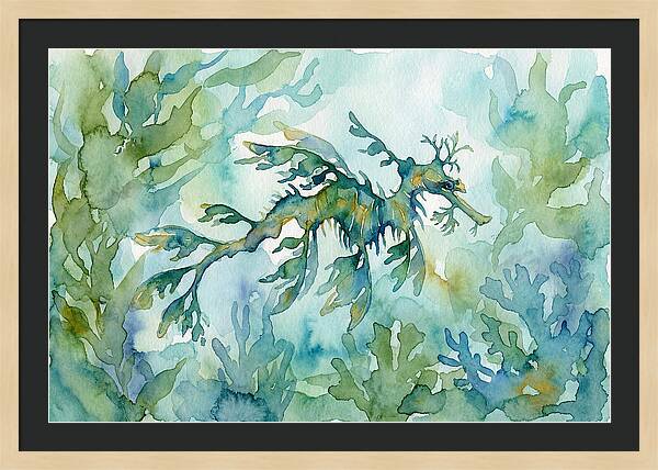 Sea Dragon Among Seaweed