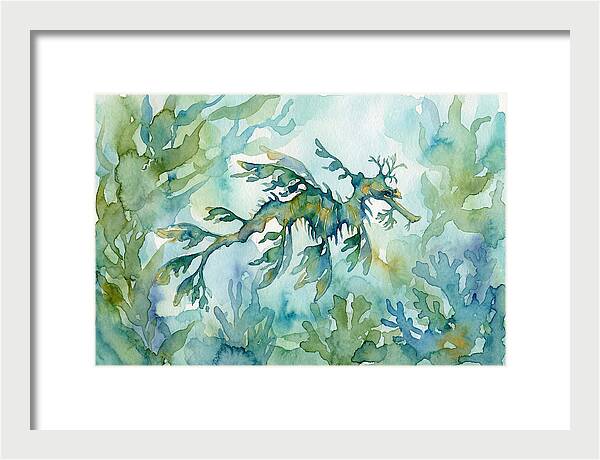 Sea Dragon Among Seaweed