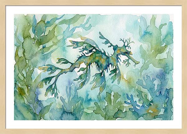 Sea Dragon Among Seaweed