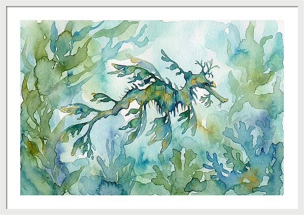 Sea Dragon Among Seaweed