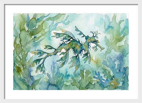 Sea Dragon Among Seaweed