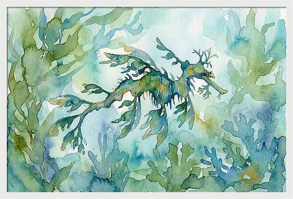 Sea Dragon Among Seaweed