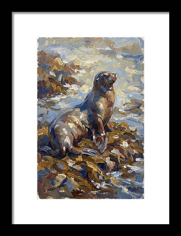 Sea Lion Among Kelp