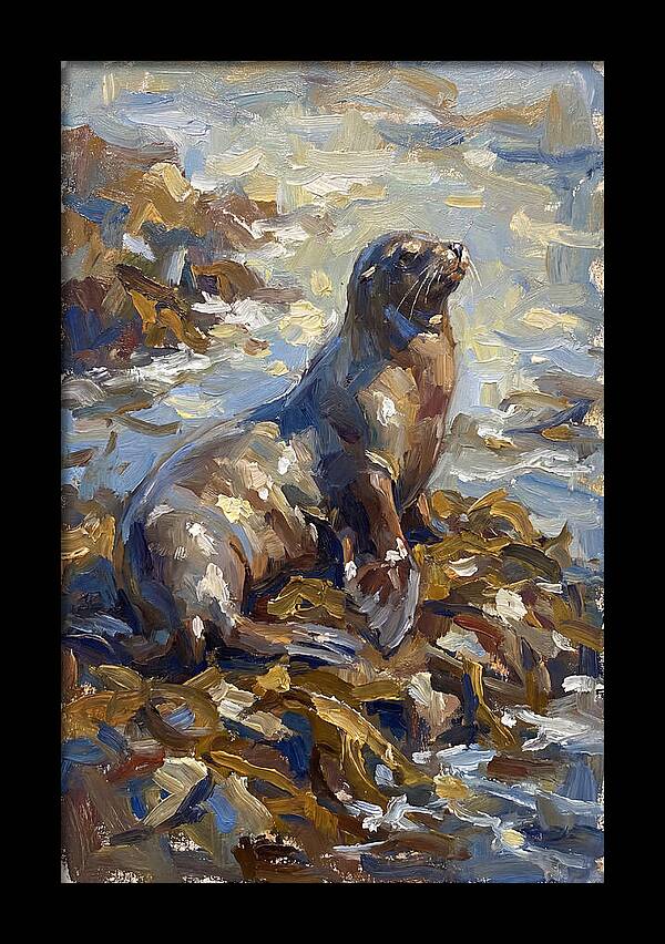 Sea Lion Among Kelp