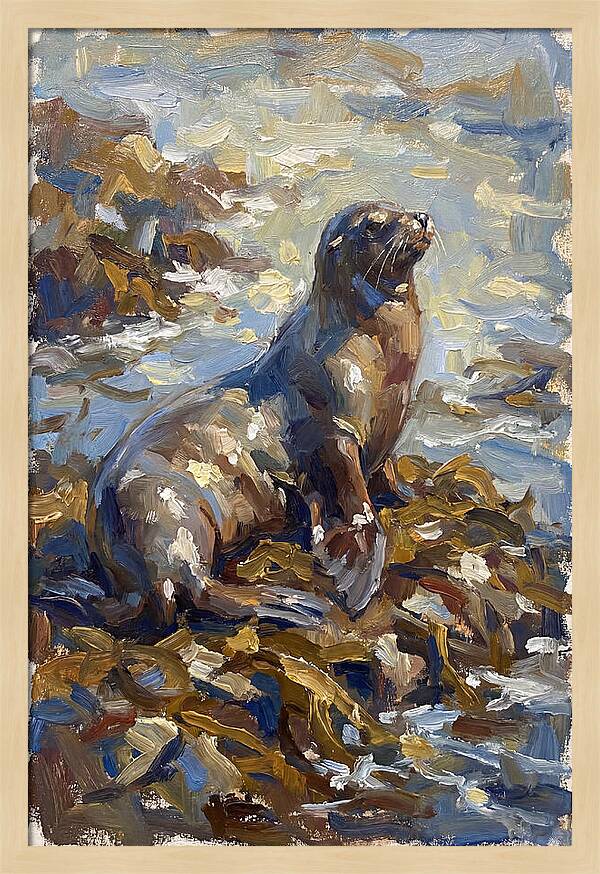 Sea Lion Among Kelp