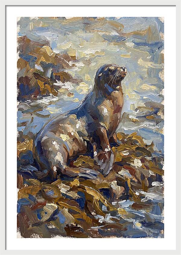 Sea Lion Among Kelp