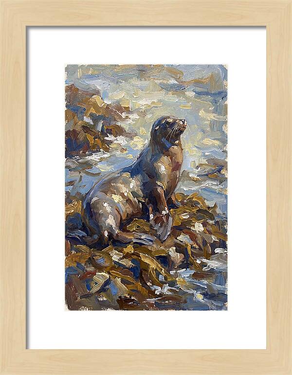 Sea Lion Among Kelp