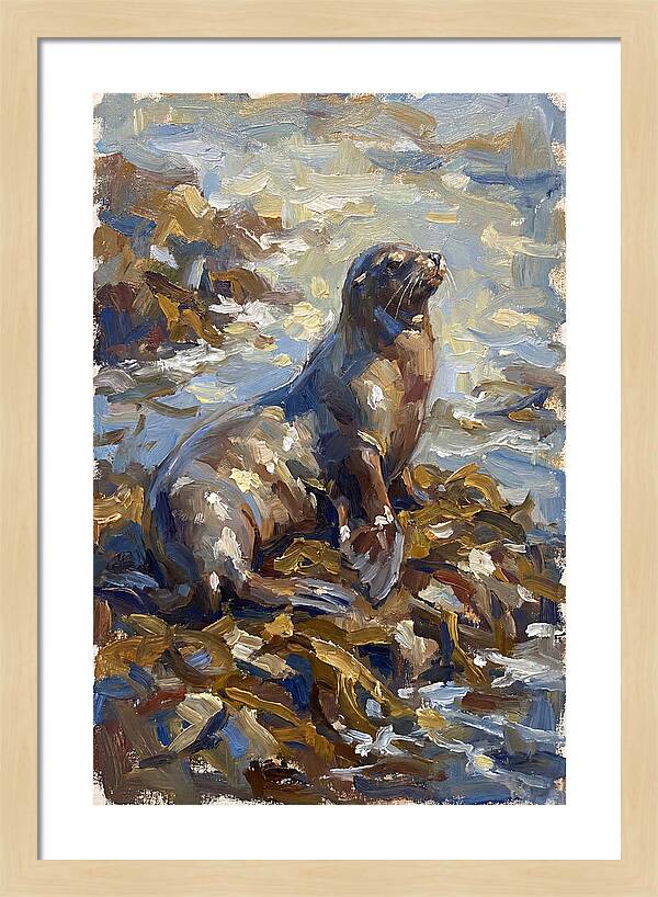Sea Lion Among Kelp
