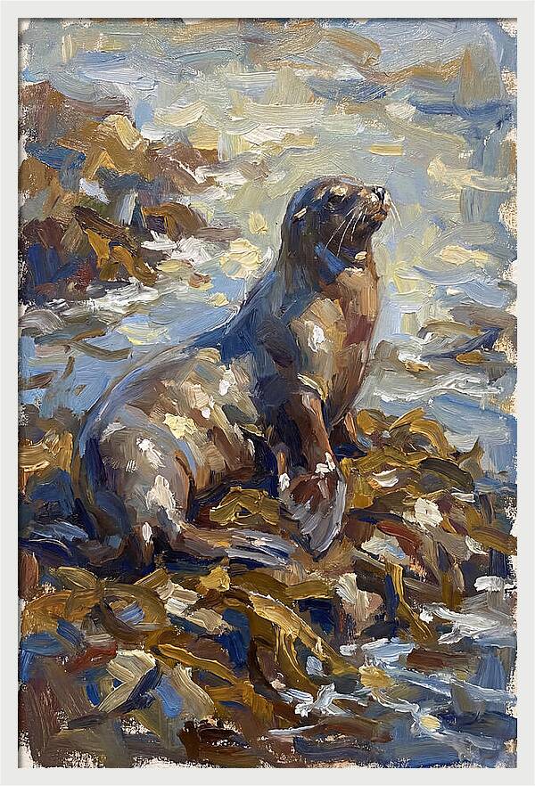 Sea Lion Among Kelp
