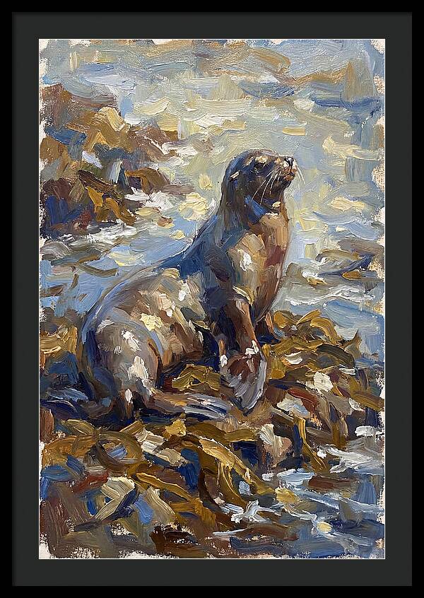 Sea Lion Among Kelp