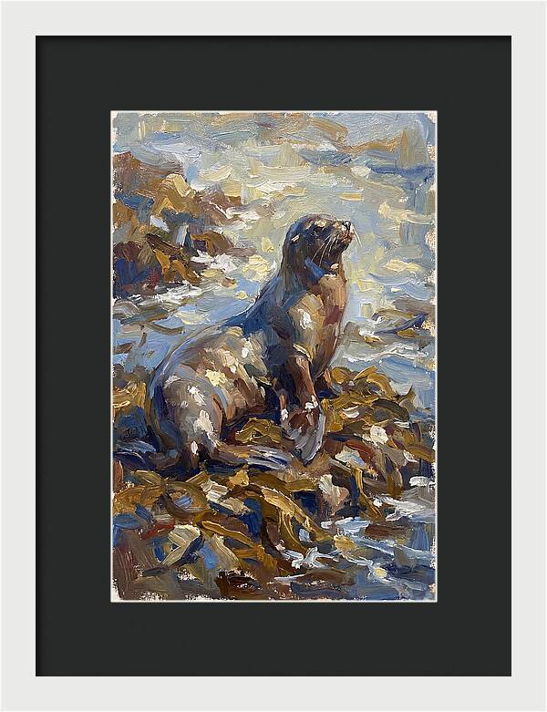 Sea Lion Among Kelp