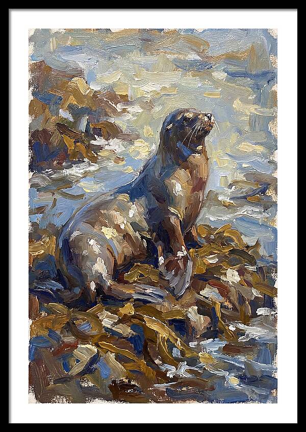 Sea Lion Among Kelp