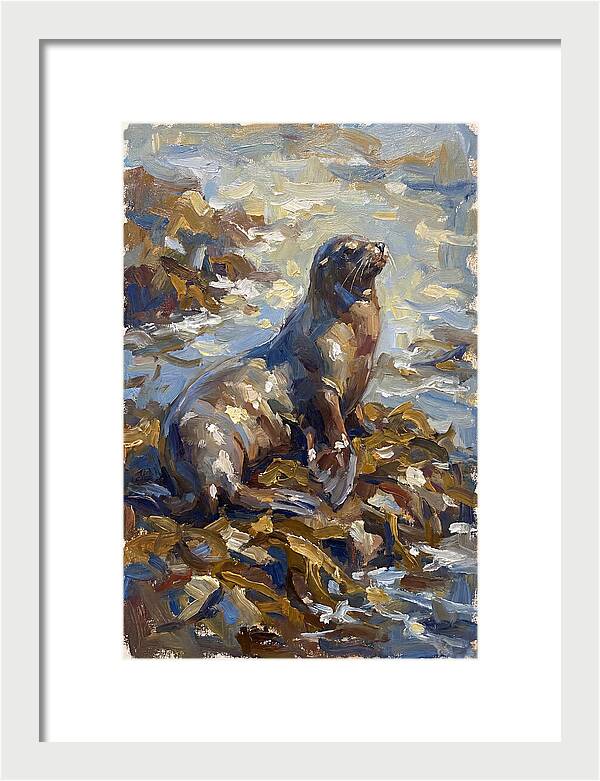 Sea Lion Among Kelp