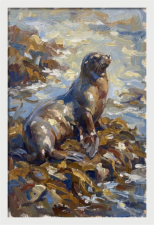 Sea Lion Among Kelp