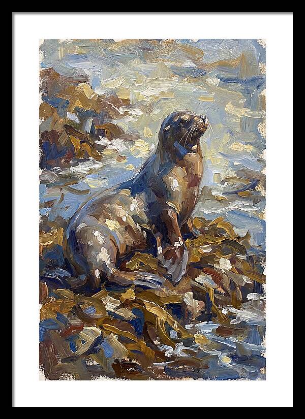 Sea Lion Among Kelp