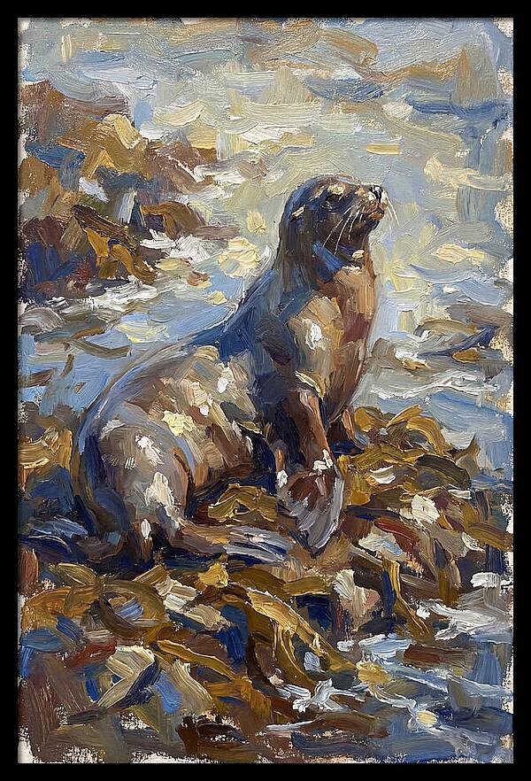 Sea Lion Among Kelp