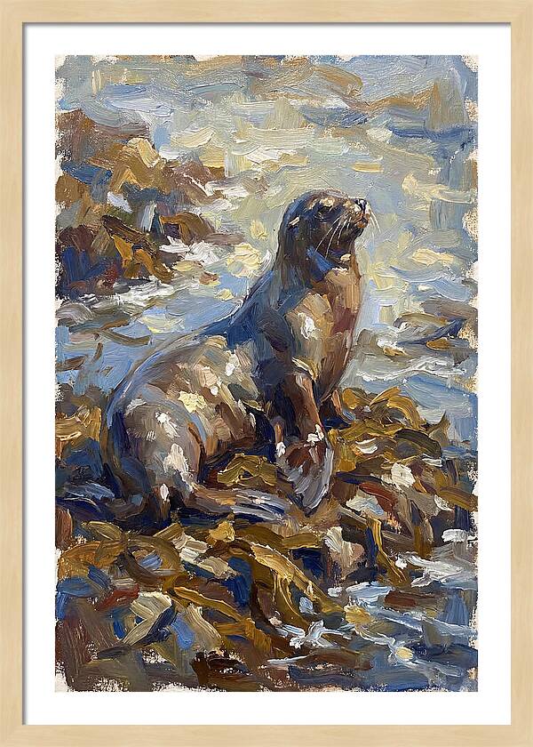 Sea Lion Among Kelp