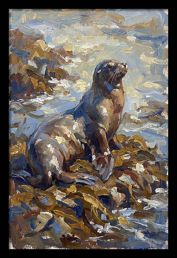 Sea Lion Among Kelp