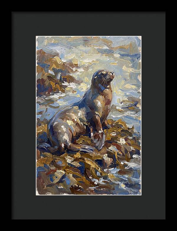 Sea Lion Among Kelp