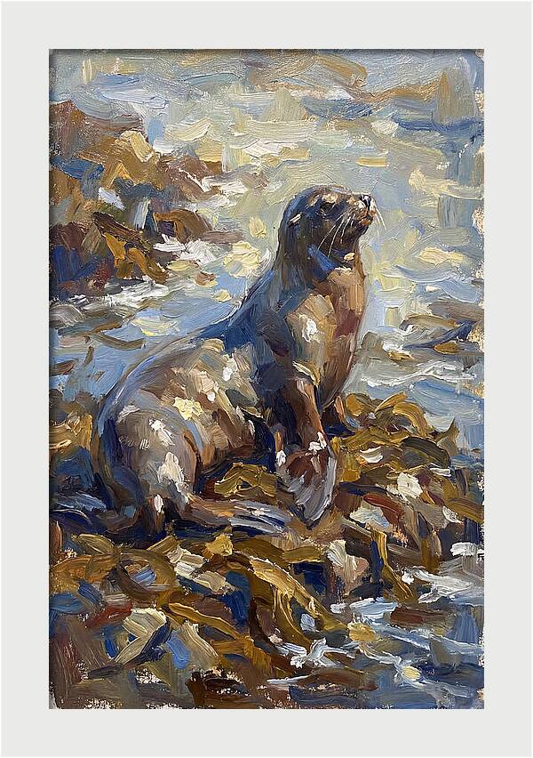 Sea Lion Among Kelp
