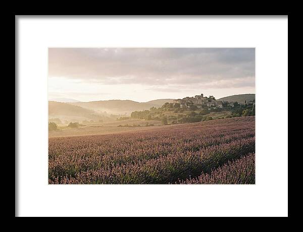 Sea Of Lavender Stretching To Distant Hills