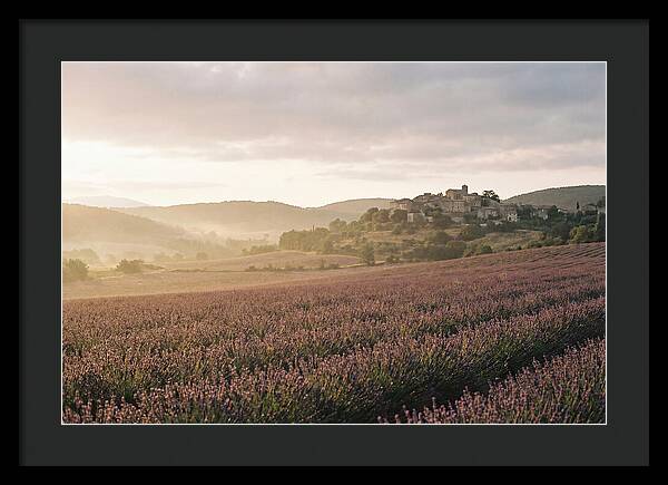 Sea Of Lavender Stretching To Distant Hills