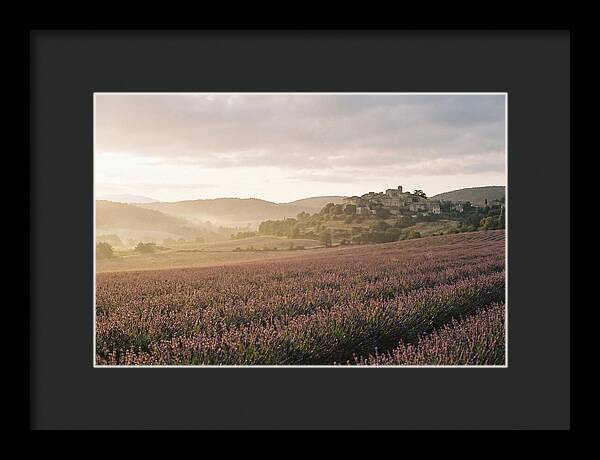 Sea Of Lavender Stretching To Distant Hills